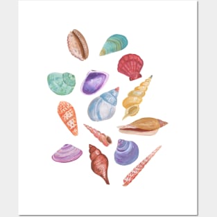 Sea Shells Posters and Art